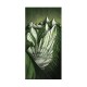 CACHE COU JONES YUKON - GREEN