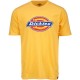 T-SHIRT DICKIES HORSESHOE - AMBER