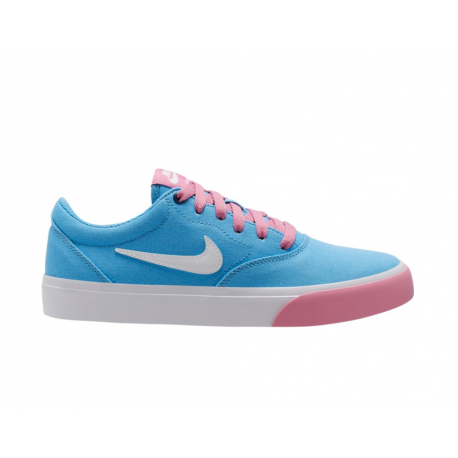 chaussure nike skateboarding