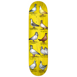 BOARD ANTIHERO SHOW PIGEONS DAAN MULTI - 8.38