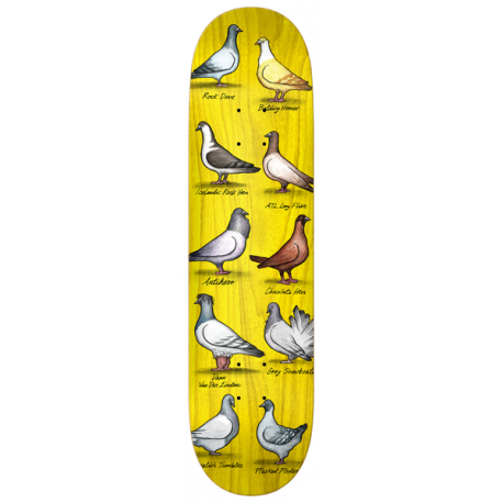 BOARD ANTIHERO SHOW PIGEONS DAAN MULTI - 8.38