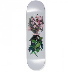 BOARD THEORIES FLORA - 8.6