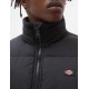 VESTE DICKIES WALDENBURG - NOIR