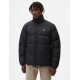 VESTE DICKIES WALDENBURG - NOIR