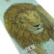 BOARD MAGENTA VIVIEN FEIL ZOO - 8.25