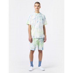 SHORT DICKIES SEATAC - CELADON GREEN 