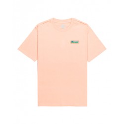 T SHIRT ELEMENT REFLECTIONS SS - ALMOST APRICOT