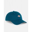 CASQUETTE DICKIES HARDWICK - REFLECTING POND