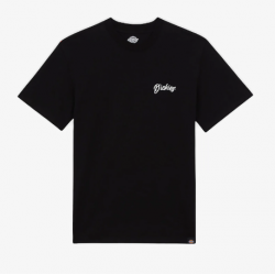 T-SHIRT DICKIES DIGHTON - DARK BLACK