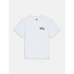 T-SHIRT DICKIES AITKIN CHEST TEE - WHITE FIRED BRICK