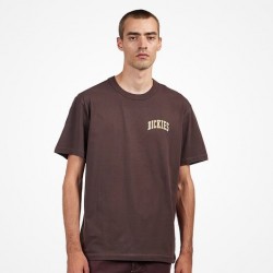 T-SHIRT DICKIES AITKIN CHEST TEE - JAVA