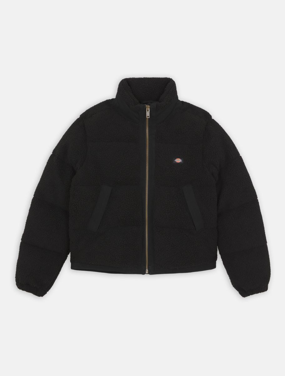 Dickies Veste en nylon à capuche doublée polaire pour homme, S, Noir 