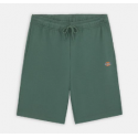 SHORT DICKIES MAPLETON - DARK FOREST 