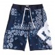 DC LANAI BY INDIGO PAISLEY 