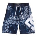 DC LANAI BY INDIGO PAISLEY 