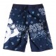 DC LANAI BY INDIGO PAISLEY 